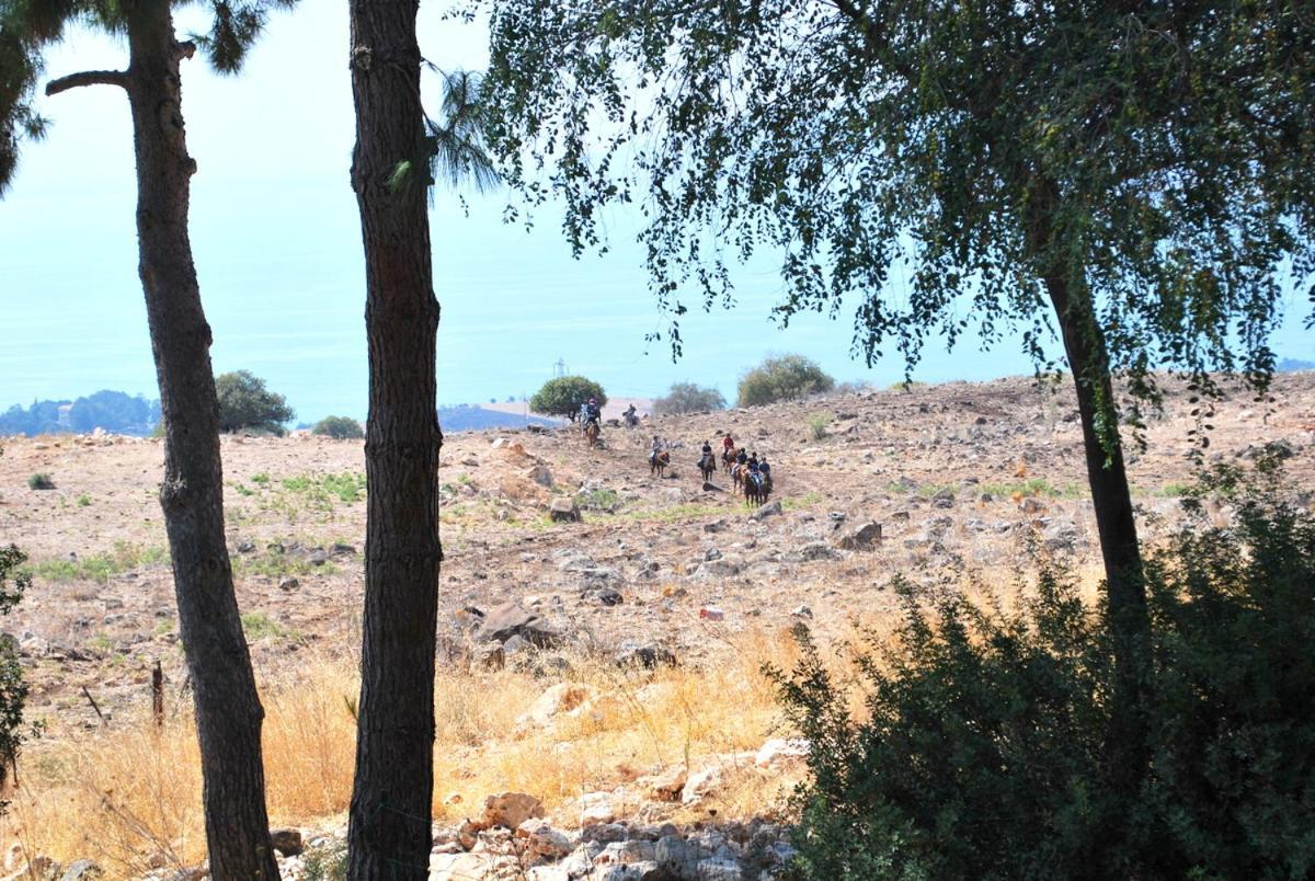 Vered Hagalil Holiday Village Hotel Chorazim Exteriér fotografie